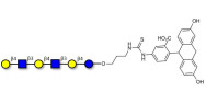 Para-Lacto-N-neohexaose (Para-LNnH) linked to fluorescein (Linker-FLUO A)