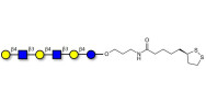Para-Lacto-N-neohexaose (Para-LNnH) with cyclic di-thiol (Linker-LIPO A)