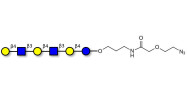 Para-Lacto-N-neohexaose (Para-LNnH) with terminal azide (Linker-N3 B)
