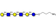 Para-Lacto-N-neohexaose (Para-LNnH) with free terminal amine (Linker-NH2 A)