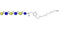 Para-Lacto-N-neohexaose (Para-LNnH) with free terminal amine (Linker-NH2 B)