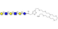 Para-Lacto-N-neohexaose (Para-LNnH) with free terminal amine (Linker-NH2 C)