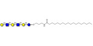 Para-Lacto-N-neohexaose (Para-LNnH) with stearic chain (Linker-STEA A)