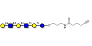 Para-Lacto-N-neohexaose (Para-LNnH) with terminal alkyne (Linker-CΞCH C)