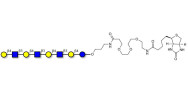 Lacto-N-neooctaose (LNnO) linked to biotin (Linker-BT C)