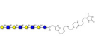 Lacto-N-neooctaose (LNnO) linked to desthiobiotin (Linker-DBT-A)