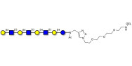 Lacto-N-neooctaose (LNnO) grafted on gel for affinity chromatography (Linker-GEL A)