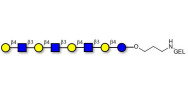 Lacto-N-neooctaose (LNnO) grafted on gel for affinity chromatography (Linker-GEL B)