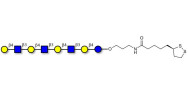 Lacto-N-neooctaose (LNnO) with cyclic di-thiol (Linker-LIPO A)