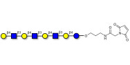 Lacto-N-neooctaose (LNnO) linked to maleimide (Linker-MAL A)