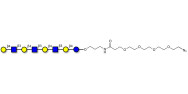 Lacto-N-neooctaose (LNnO) with terminal azide (Linker-N3 A)