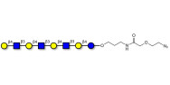 Lacto-N-neooctaose (LNnO) with terminal azide (Linker-N3 B)