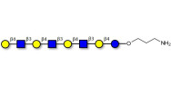 Lacto-N-neooctaose (LNnO) with free terminal amine (Linker-NH2 A)