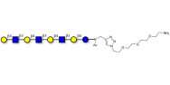 Lacto-N-neooctaose (LNnO) with free terminal amine (Linker-NH2 B)