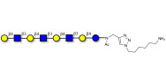 Lacto-N-neooctaose (LNnO) with free terminal amine (Linker-NH2 D)