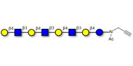 Lacto-N-neooctaose (LNnO) with terminal alkyne (Linker-CΞCH A)