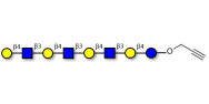 Lacto-N-neooctaose (LNnO) with terminal alkyne (Linker-CΞCH B)