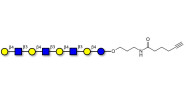 Lacto-N-neooctaose (LNnO) with terminal alkyne (Linker-CΞCH C)