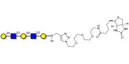 Galacto-N-neopentaose linked to biotin (Linker-BT A)