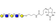 Galacto-N-neopentaose linked to biotin (Linker-BT B)
