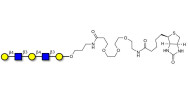 Galacto-N-neopentaose linked to biotin (Linker-BT C)