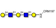 Galacto-N-neopentaose grafted on CRM197