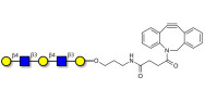 Galacto-N-neopentaose with DBCO (Linker-DBCO A)