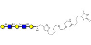 Galacto-N-neopentaose linked to desthiobiotin (Linker-DBT-A)