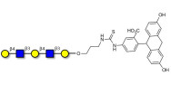 Galacto-N-neopentaose linked to fluorescein (Linker-FLUO A)