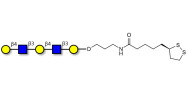 Galacto-N-neopentaose with cyclic di-thiol (Linker-LIPO A)