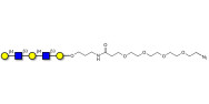 Galacto-N-neopentaose with terminal azide (Linker-N3 A)