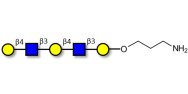 Galacto-N-neopentaose with free terminal amine (Linker-NH2 A)