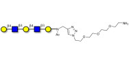 Galacto-N-neopentaose with free terminal amine (Linker-NH2 B)