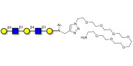 Galacto-N-neopentaose with free terminal amine (Linker-NH2 C)