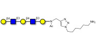 Galacto-N-neopentaose with free terminal amine (Linker-NH2 D)