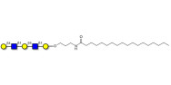 Galacto-N-neopentaose with stearic chain (Linker-STEA A)