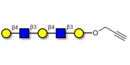 Galacto-N-neopentaose with terminal alkyne (Linker-CΞCH B)