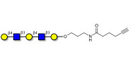 Galacto-N-neopentaose with terminal alkyne (Linker-CΞCH C)