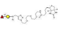 Blood group H antigen disaccharide linked to biotin (Linker-BT A)