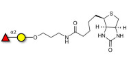 Blood group H antigen disaccharide linked to biotin (Linker-BT B)