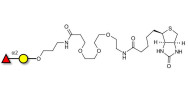 Blood group H antigen disaccharide linked to biotin (Linker-BT C)