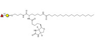 Blood group H antigen disaccharide linked to biotin and stearic chain (Linker-BT-STEA A)