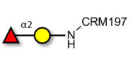 Blood group H antigen disaccharide grafted on CRM197