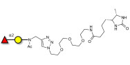 Blood group H antigen disaccharide linked to desthiobiotin (Linker-DBT-A)