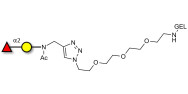 Blood group H antigen disaccharide grafted on gel for affinity chromatography (Linker-GEL A)