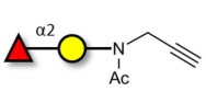 Blood group H antigen disaccharide with terminal alkyne (Linker-CΞCH A)