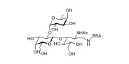 Blood group H antigen triose type 1 grafted on BSA