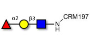 Blood group H antigen triose type 1 grafted on CRM197
