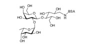 Blood group H antigen triose type 5 / 2’-Fucosyllactose (2'-FL) grafted on BSA