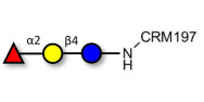 Blood group H antigen triose type 5 / 2’-Fucosyllactose (2'-FL) grafted on CRM197